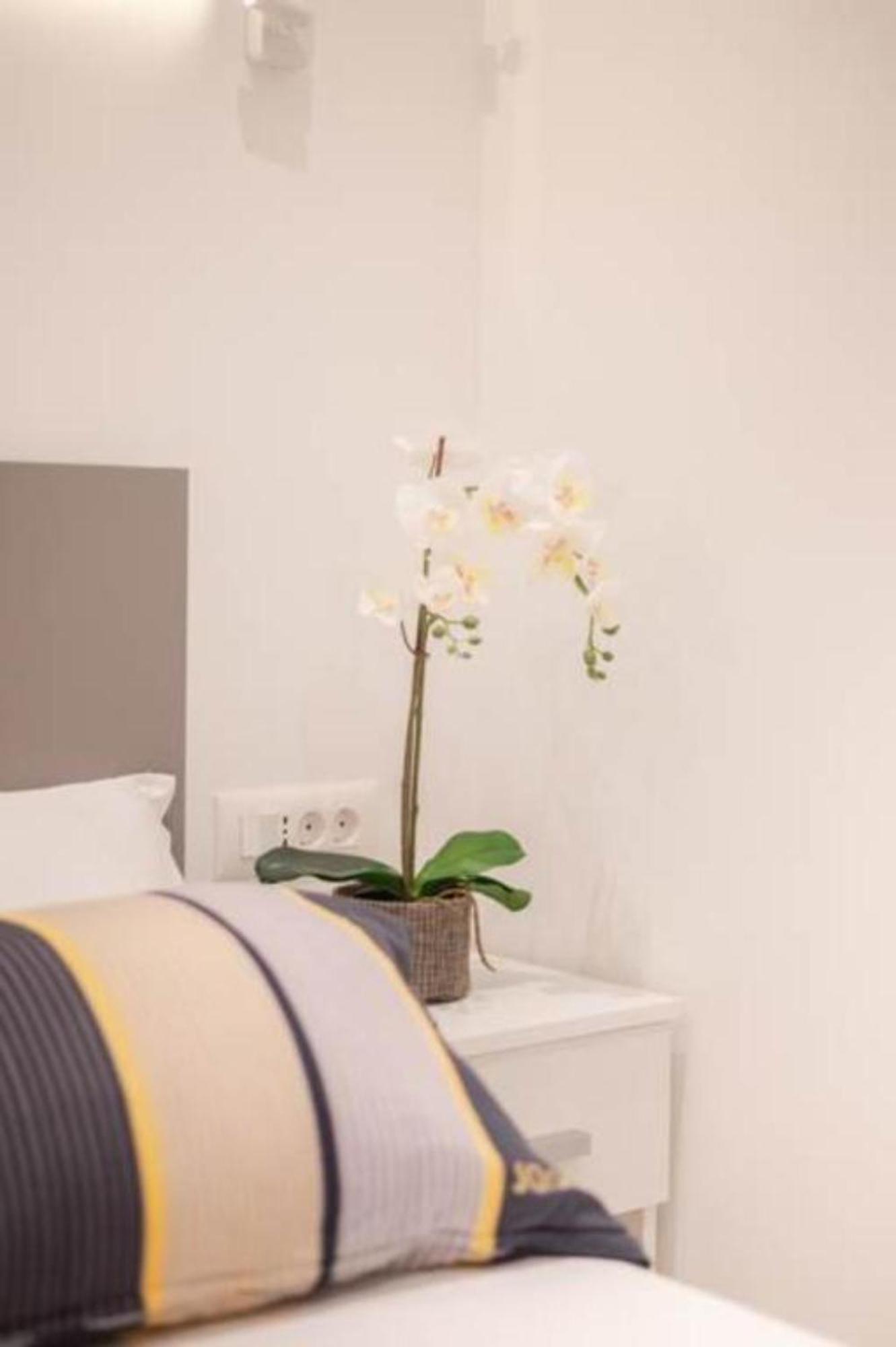Canta Apartment
